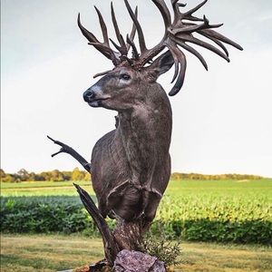 Meet your Posher, Suk